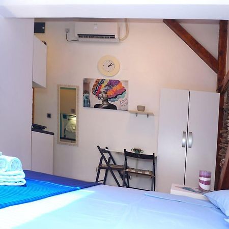 Studio Obilicev Venac Apartment เบลเกรด ภายนอก รูปภาพ